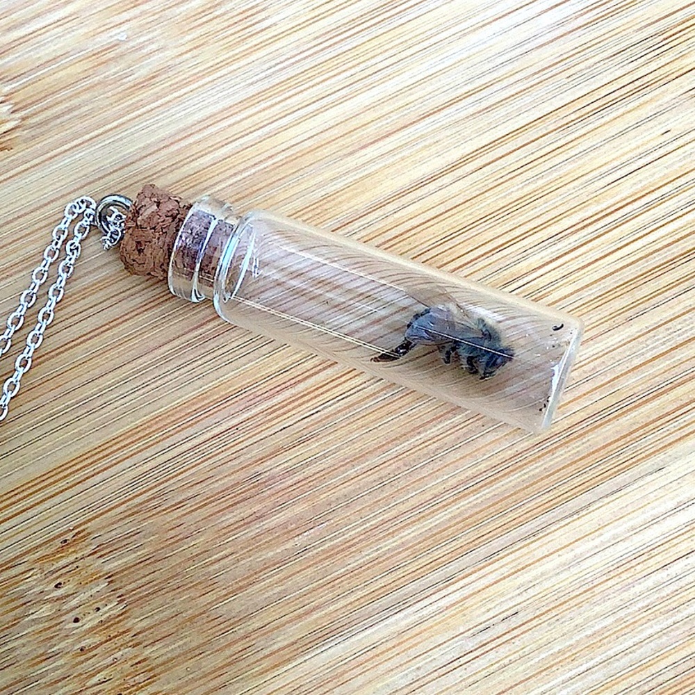 Donate To Save The Bees, REAL Bee in a Bottle Necklace, CRUELTY FREE